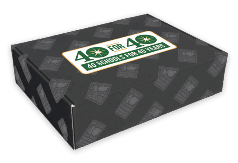 40 Schools for 40 Years